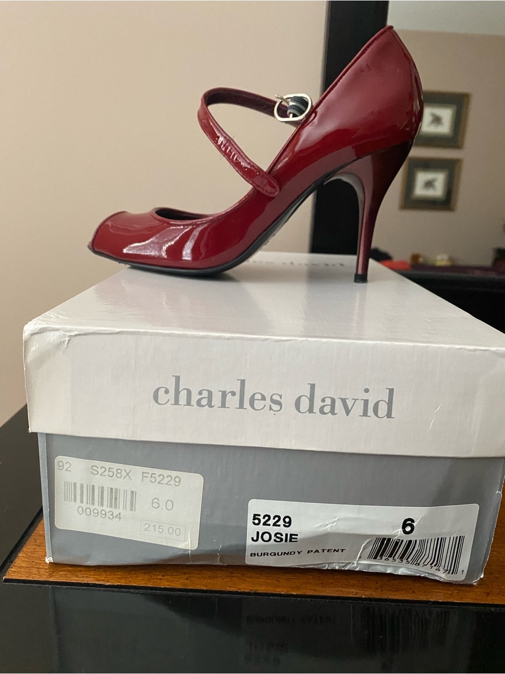 Charles David Burgundy Patent Mary Jane Pump - Josie Style